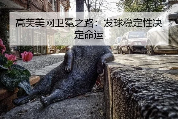 gao-fu-mei-wang-wei-mian-zhi-lu-fa-qiu-wen-ding-xing-jue-ding-ming-yun-3-992.jpg