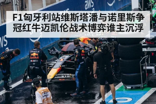 F1匈牙利站维斯塔潘与诺里斯争冠红牛迈凯伦战术博弈谁主沉浮